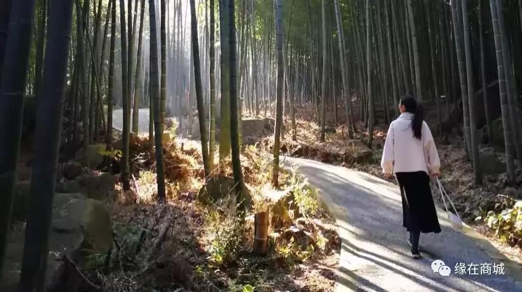 「品读」我的前男网友——以后真的不单独见面吗?/江河之王