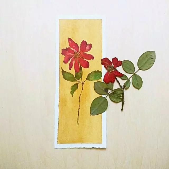 最新最经典的个性签名,简短精湛,深入人心!