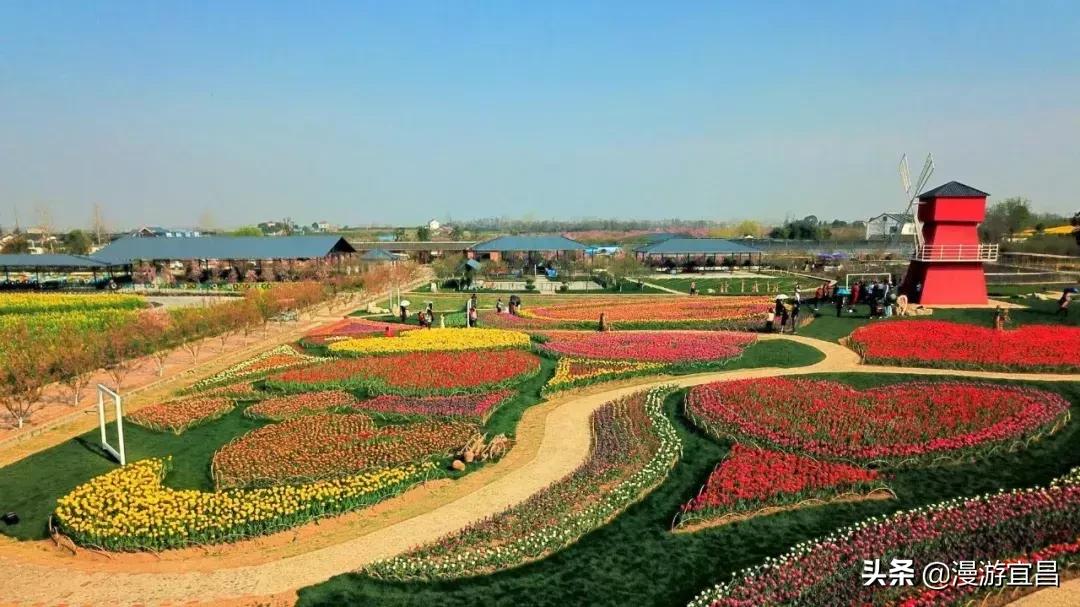 宜昌恩施旅游攻略最佳路线,宜昌至重庆三峡游轮旅游攻略