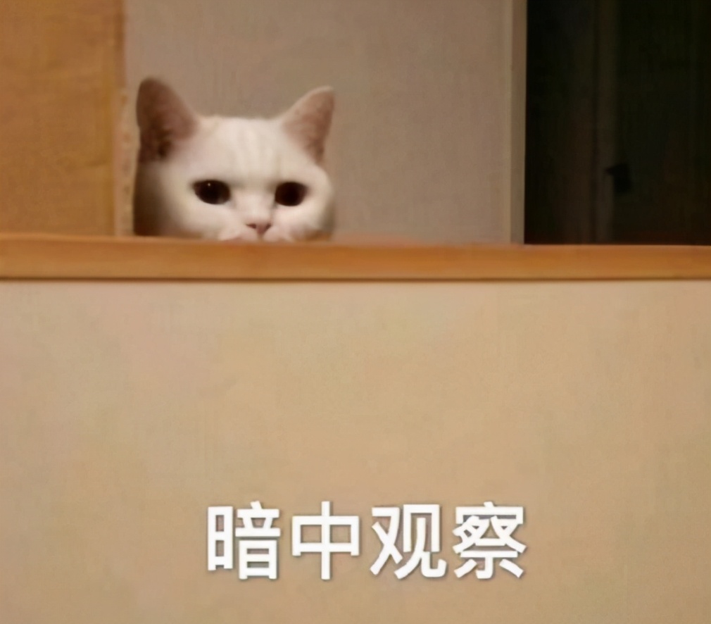 神武4电脑版打宝图最快门派,神武4电脑版飞升后各职业分析