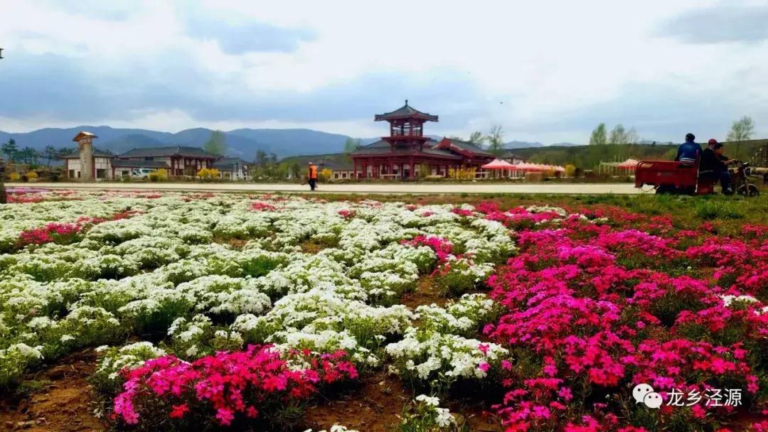 后来的我们，相遇在泾源