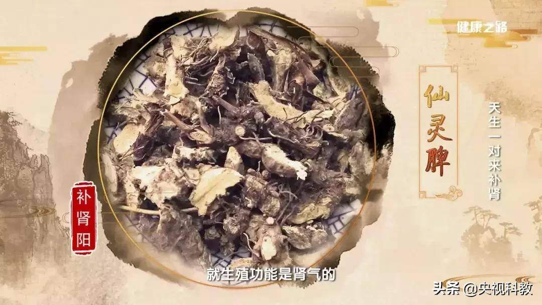 中医教你这三招，助你补足肾气、延缓衰老