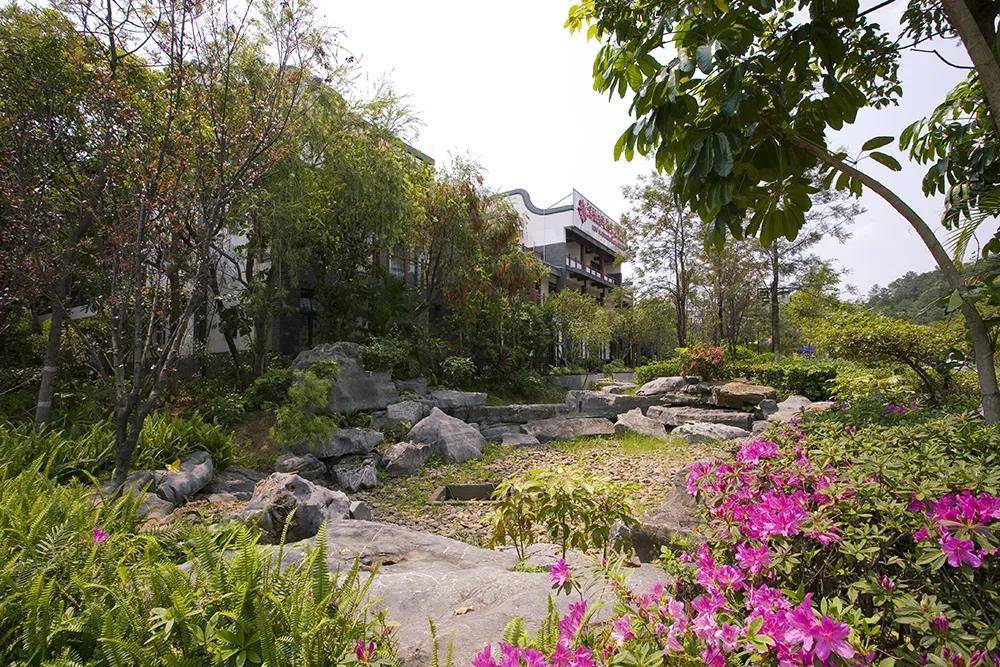 罗浮山周边农庄采摘,惠州博罗田园私房菜