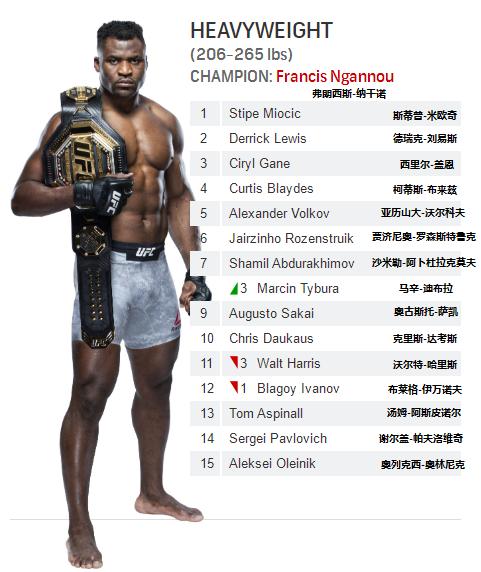 2021ufc重量级排名前十,ufc皱量级大力鼠排名