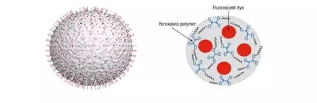 饲料霉菌毒素检测方法标准,常用饲料原料中霉菌毒素风险