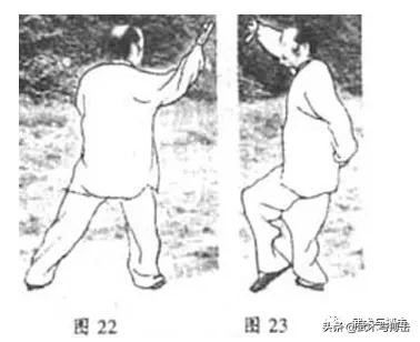 纯阳拳龙心掌视频,纯阳八步龙心掌