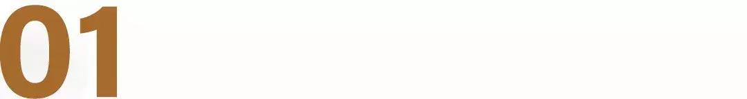 小众好喝的椰汁,小众椰汁品牌排行