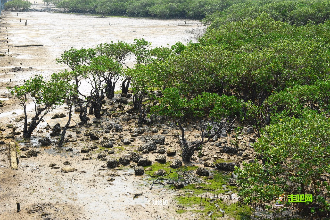 海滩怪石古渔村，名气不及三亚，但现在却越来越多东北人在此定居
