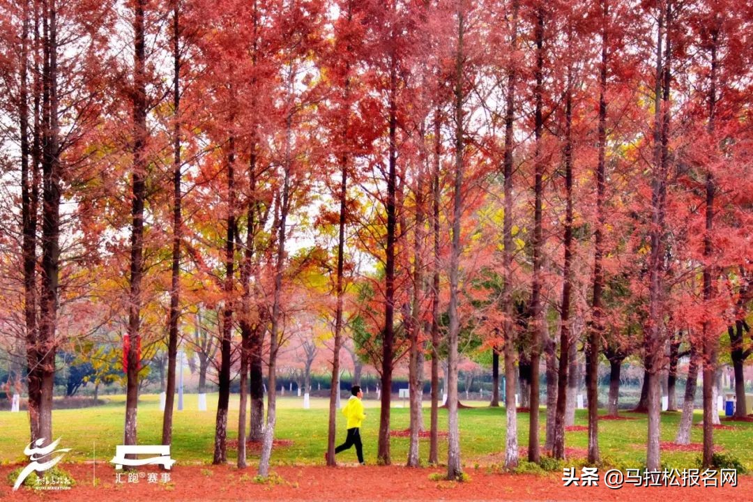 锡马2024完赛奖牌,2022锡马奖牌动图