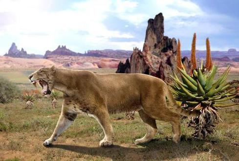 猛犸象灭绝的真正原因,猛犸象死亡是因为人类大量猎杀吗