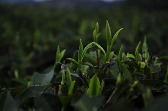 时光大师品牌加盟,时光大师加盟