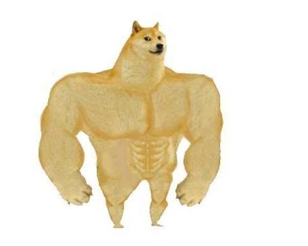 不输出能不能打秋阳,dnf奶妈最新不死流搭配