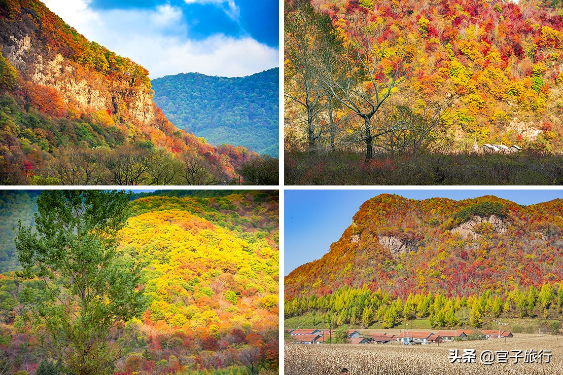 中华枫叶之路自驾游攻略,中华枫叶大道自驾游路线