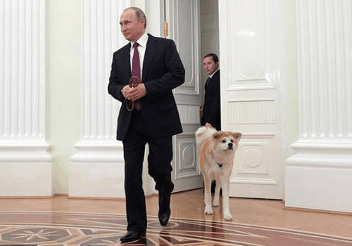 王大拿网红探店,网红王大拿是男的女的