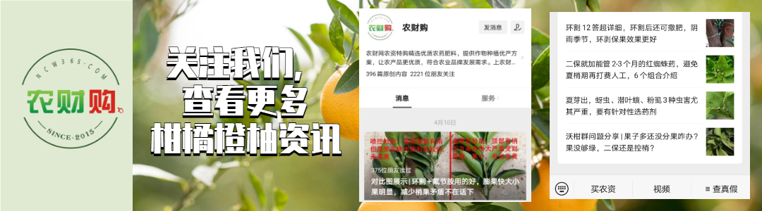 炭疽病十大杀菌剂特效药,炭疽病防治药剂