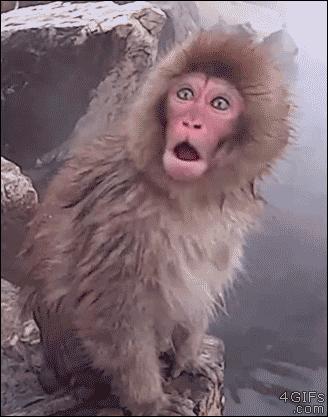 球员年薪实际到手,球员工资税费一览表