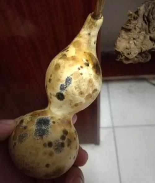 葫芦打皮的正确方法,葫芦打皮技巧视频