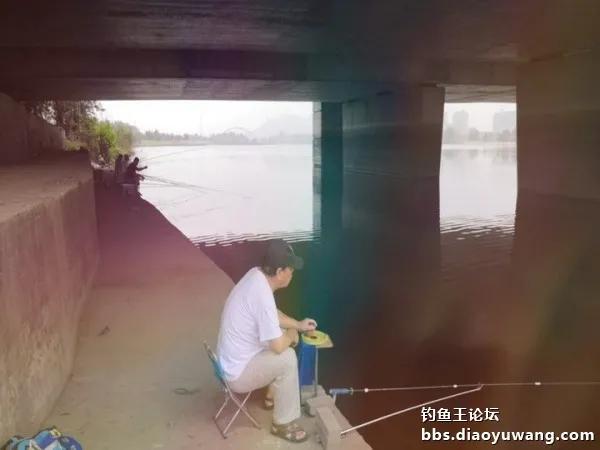 疯钓鲫搭配,疯钓鲫本味单开效果怎么样