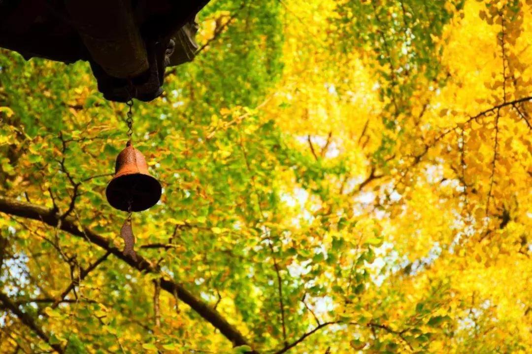 您有一份邀请函请查收,您有一份新的工作请查收