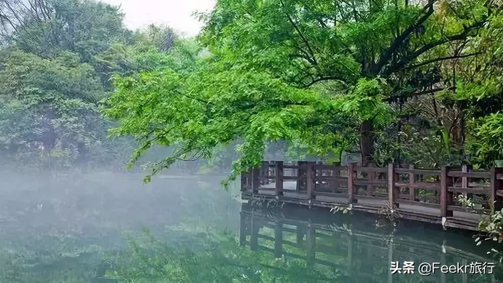 全球最大樱花基地原来就藏在贵州！万亩花海通到湖，机票低至2折