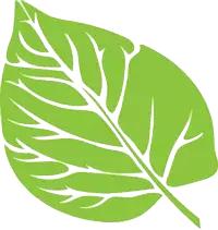 3月南阳看花的景点推荐,南阳踏青赏花攻略