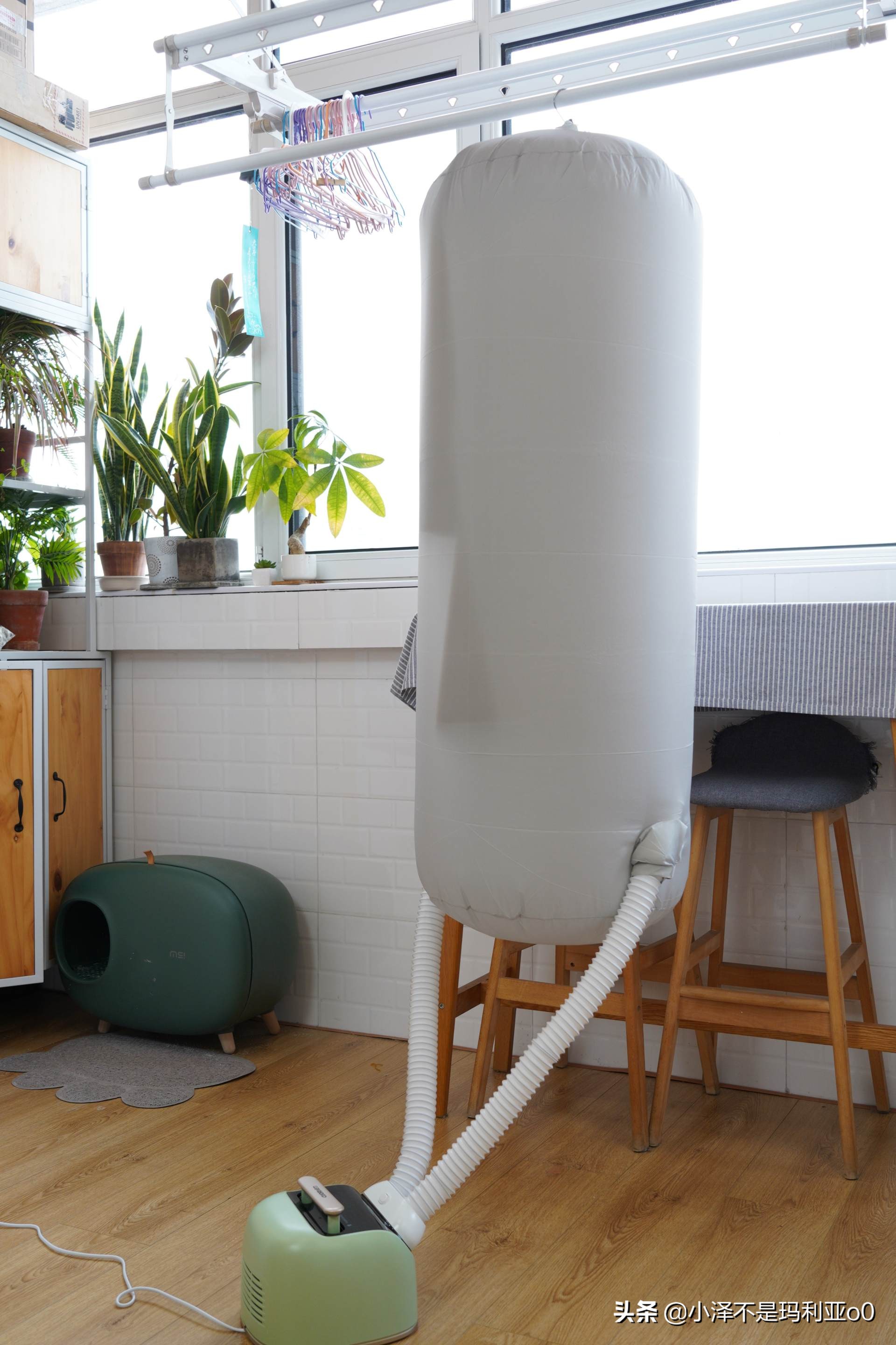 秋冬好用小家电,秋冬必备小家电