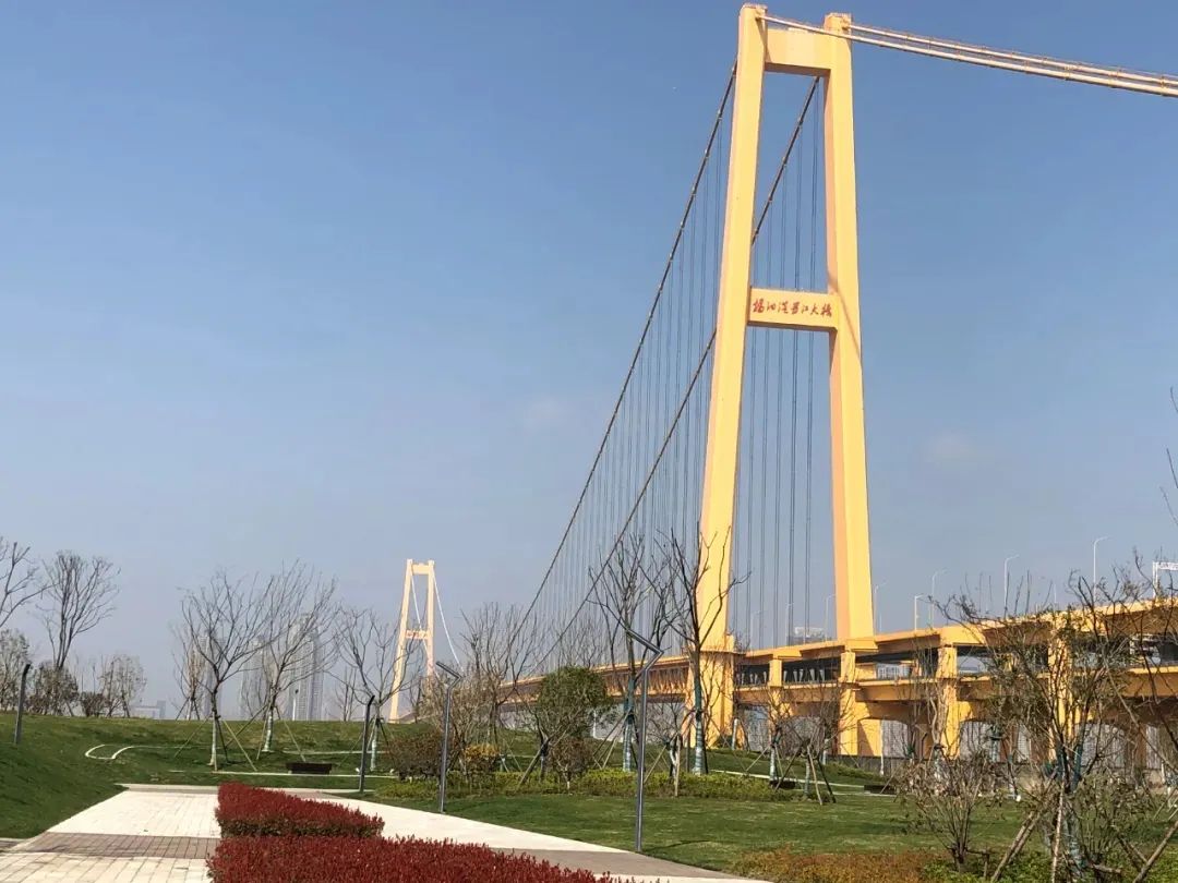 白沙洲最近消息,白沙洲现在发展怎么样