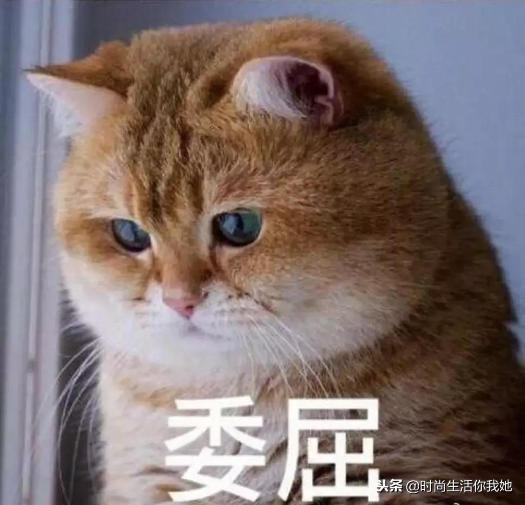 冬天不建议买的靴子,冬天买什么靴子