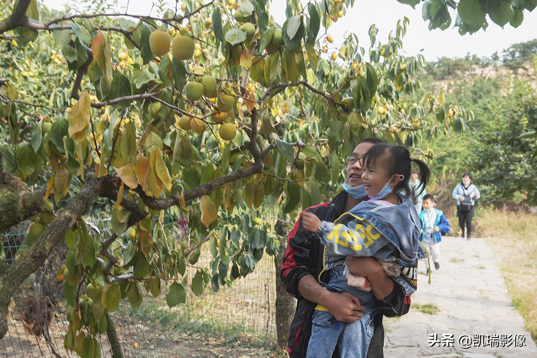青岛的鹤山风景区好玩吗,青岛鹤山旅游景点大全