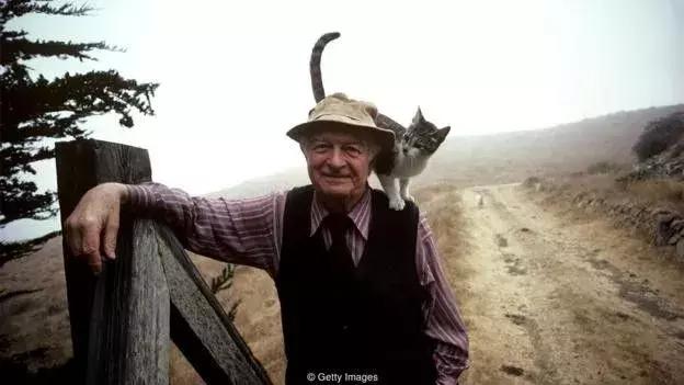 100元的维c有什么区别,100块的维生素c和2元的区别