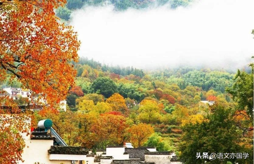 《改造我们的学习》《人的正确思想》《实践》群文教学设计2