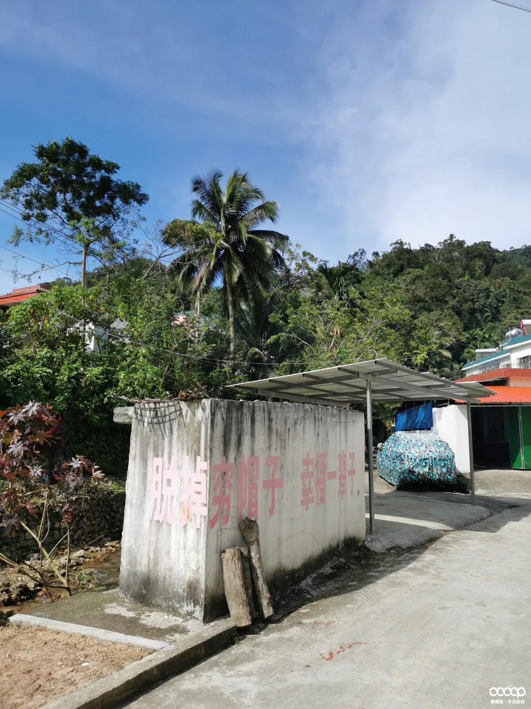 星月五指山料和毛感料区别,海南毛感星月介绍