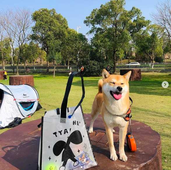 什么牌子的双肩包结实好看又实惠,推荐几款值得买的双肩包