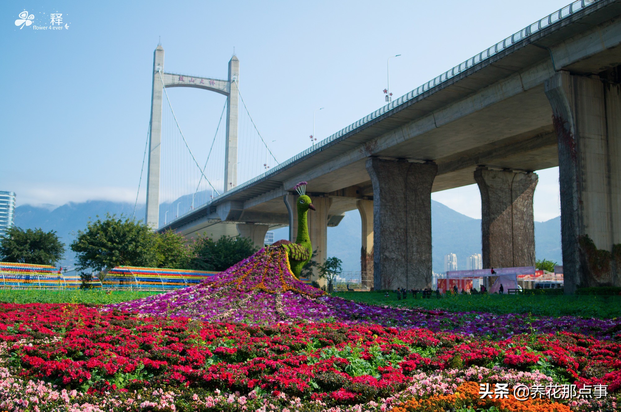 福州最新旅游攻略自由行攻略,去福州旅游自由行攻略最新