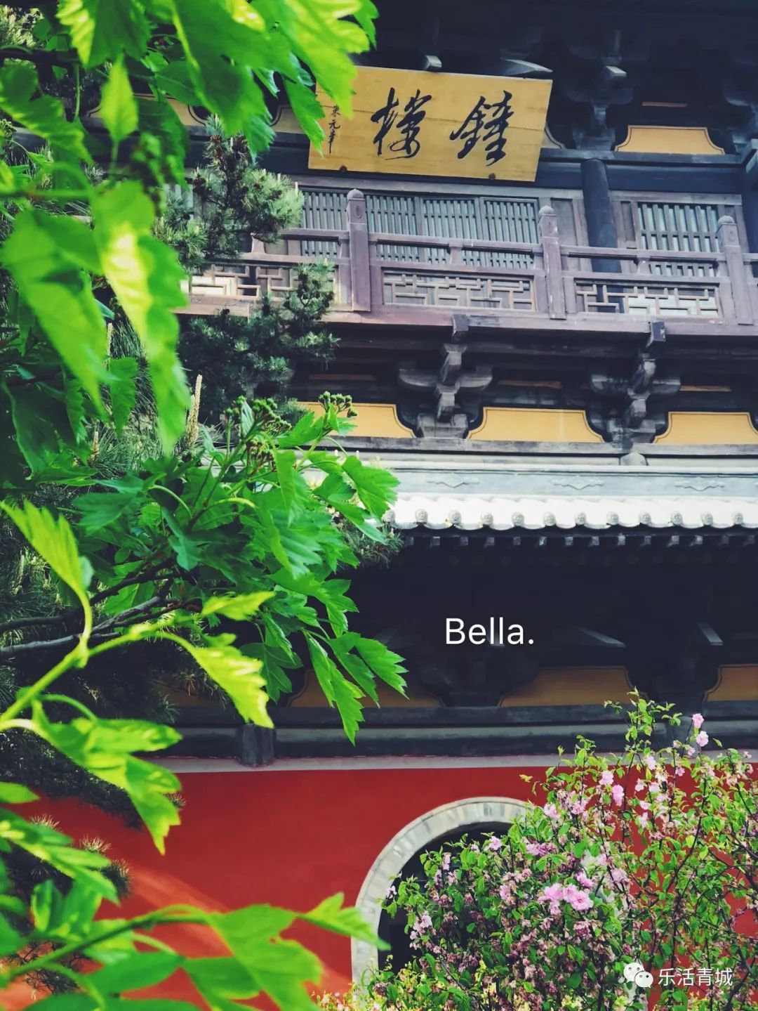 贝拉专访合集,贝拉专访完整版