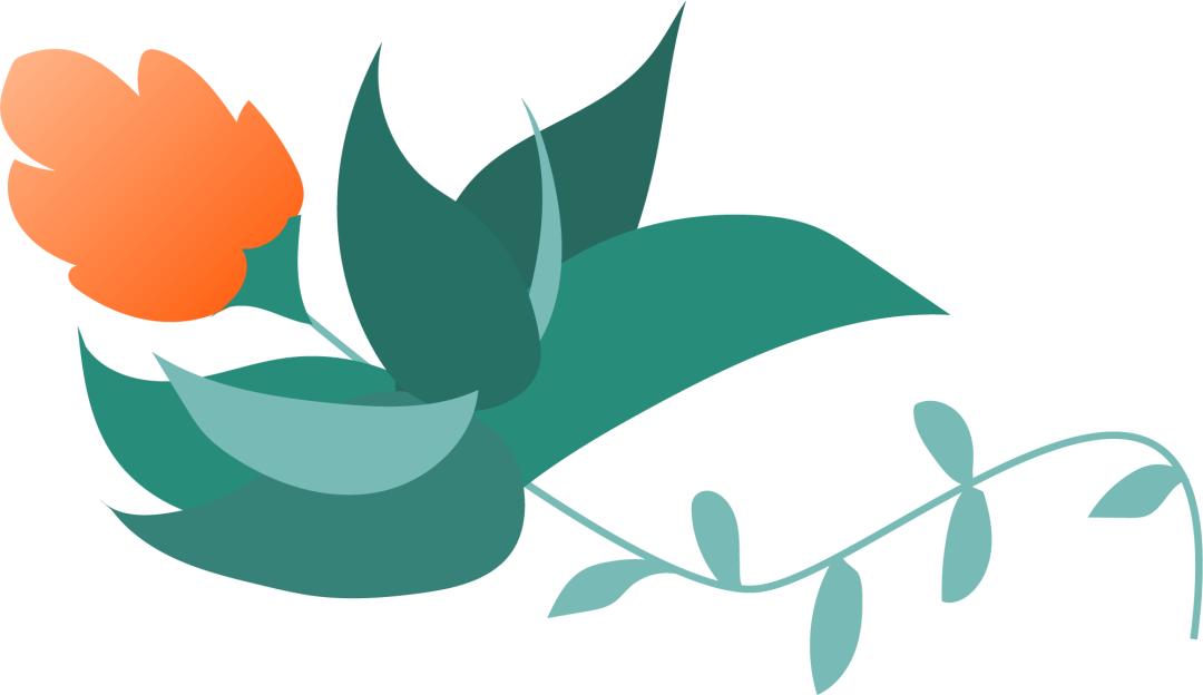 形状的关键点——不要试图适应整个图形