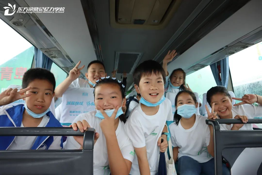 强国有我请党放心思维导图简单,强国有我请党放心的思维导图