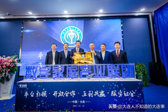 大连电信业务增长,大连电信运营服务