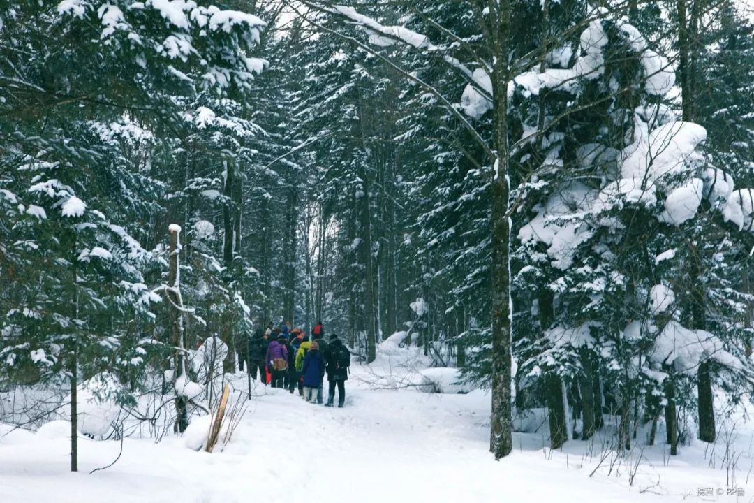 国内这7个绝美雪景地,看到第一个我就想去了!