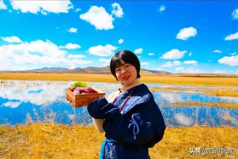 四川中医药高等专科学校人才引进,医疗卫生人才的摇篮