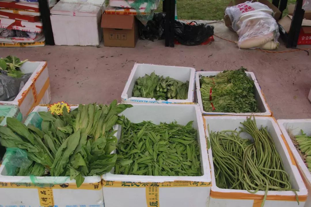 番禺|物业做“微商”卖菜,管家当“快递员”送菜,广碧这波操作获满屏点赞