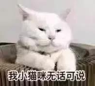 猫砂为啥裹不住猫屎,裹着猫砂的猫屎能上地吗