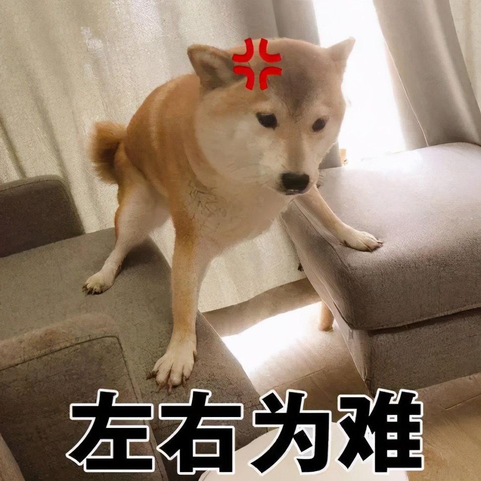 法国名庄酒分级,法国葡萄酒名庄分级