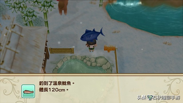 牧场物语重聚矿石镇最全攻略,牧场物语重聚矿石镇第一年冬攻略