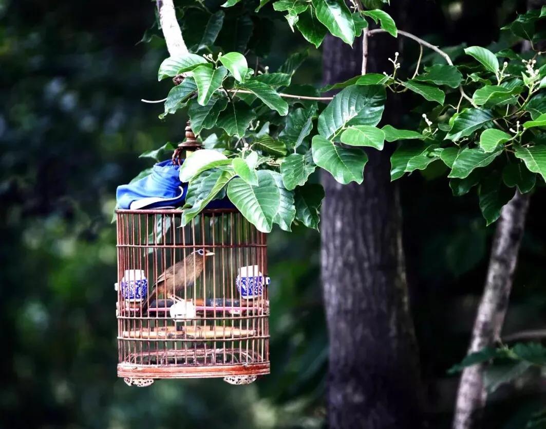 “天下三分明月夜，二分无赖是扬州”，扬州是一座怎么样的城市？