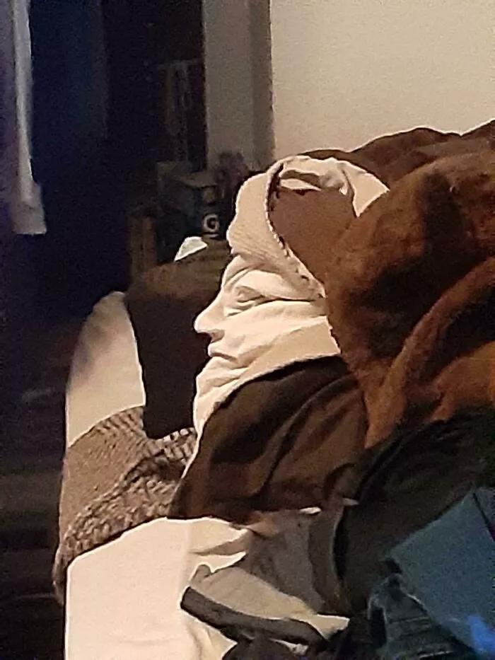 神奇的大自然巧合图片,大自然的神奇巧合惊人的史前文明