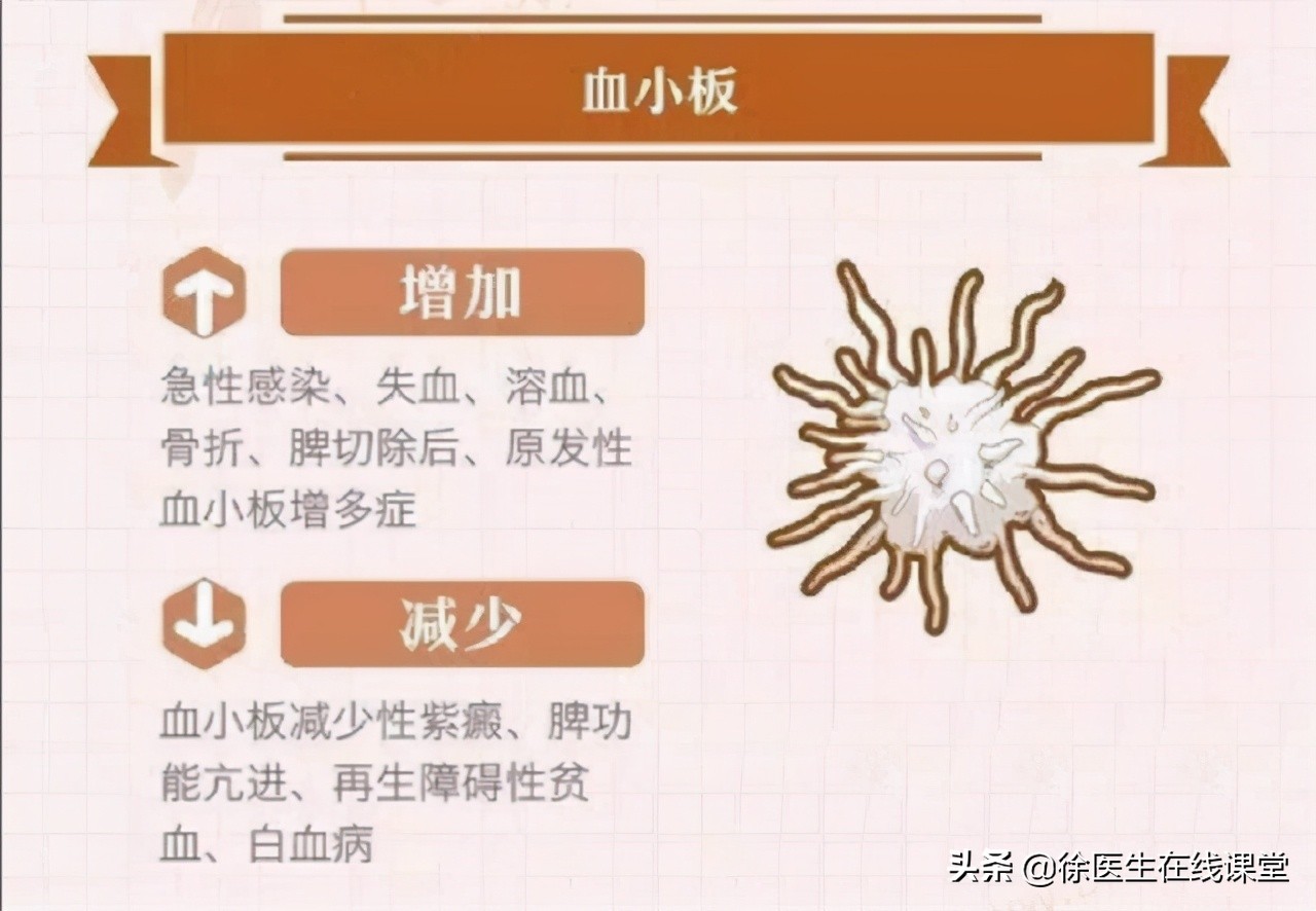 血常规能看出癌症转移吗,血常规能查出癌症骨转移吗