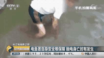 刑法规定的禁止使用捕鱼方法,非法捕鱼为什么屡禁不止