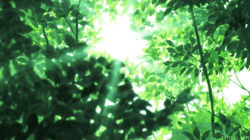 晚上蚊子多教你一个小妙招,蚊子一直在耳边嗡嗡的小妙招