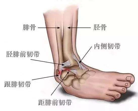 小腿肌肉外翻和膝盖内扣一样吗,小腿肌肉外翻骨头是弯的